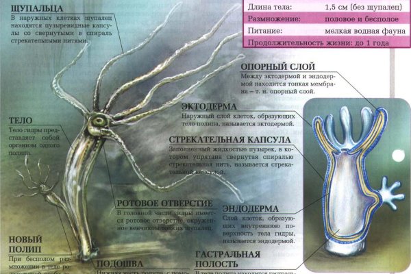Кракен зеркало 2 веб
