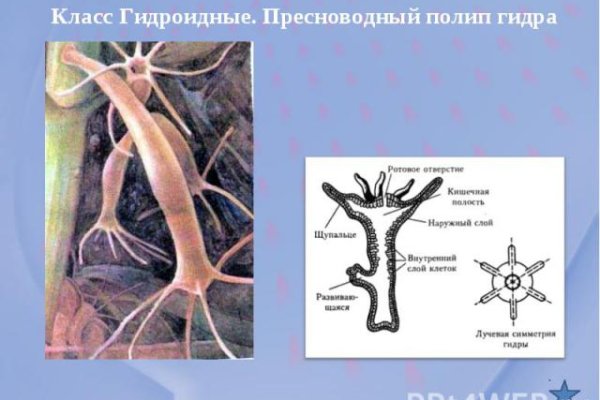 Магазин веществ кракен