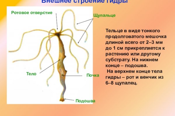 Кракен это современный даркнет маркетплейс