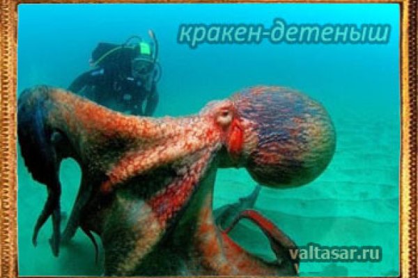 Что такое кракен только через тор