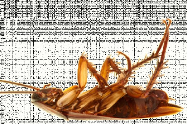 Kraken onion вход