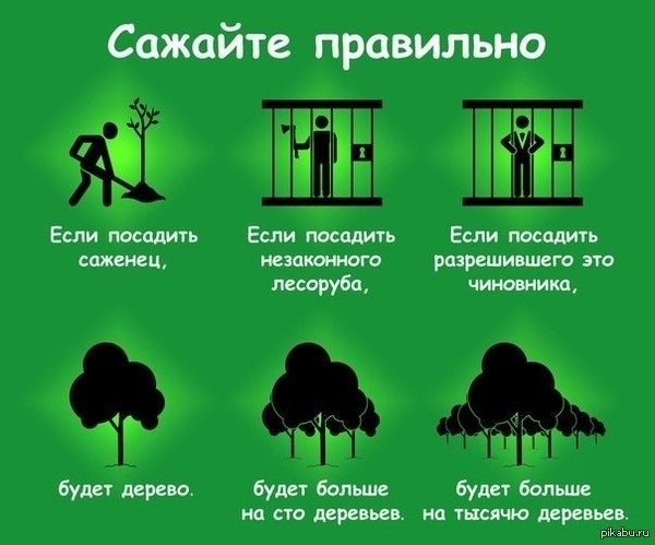 Solaris даркнет